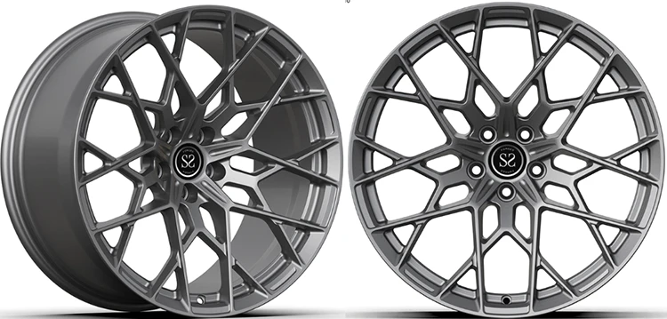 SSJK1298-1 SSJK1298-1